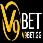 V9betgg