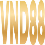 VND88edu