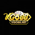 Vgo88net