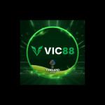 Vic88vin