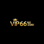 Vip66aucom