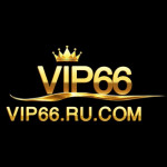 Vip66rucom