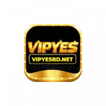 Vipyesbdnet