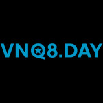 Vnq8day
