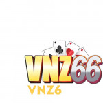 Vnz6shop