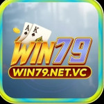 Win79netvc