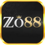 Zo88usorg