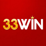 a33winvifit