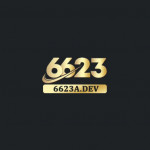 a6623adev