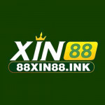 a88xin88ink