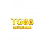 a8tg88comvn