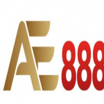 ae888maison