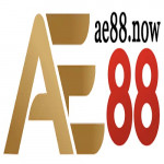 ae88now
