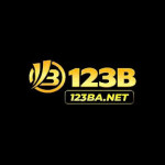 ajpnet123b