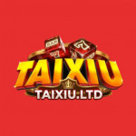 apptaixiuclub