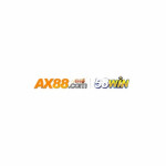 ax88boxe1