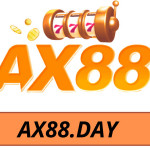 ax88day