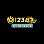b123bsacom1