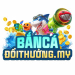 bancah55