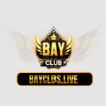 bayclubslive