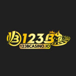 bcasinoio123