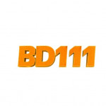 bd111art