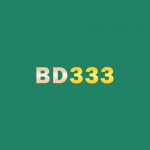 bd333tech