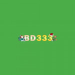 bd333winnet