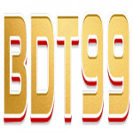 bdt9bdnet