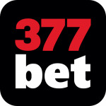 betbrcom377