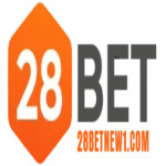 betnew1com28