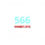 betxyz566