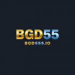 bgd555io
