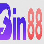 bin88voto