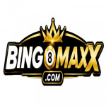 bingomaxxcom