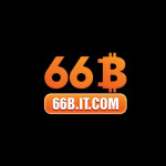 bitcom66