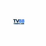 bolatv88