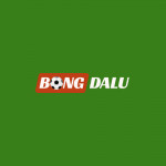 bongdalu7tv