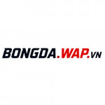 bongdawap-vn