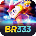 br333co1