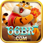 brapporg66
