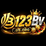 bvusorgv