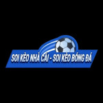 bxhbongdaonline