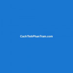 cachtinhphantram