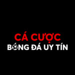 cacuocbongda
