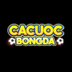 cacuocbongdavipcom