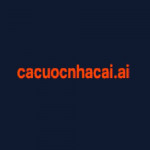 cacuocnhacaiai