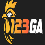 cam123ga