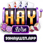 cg99haywinapp