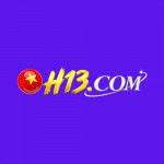 ch13info
